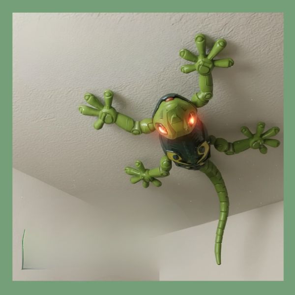 WallGecko™ – The Gravity - Defying Climbing Toy Kids Love! - VidaVora