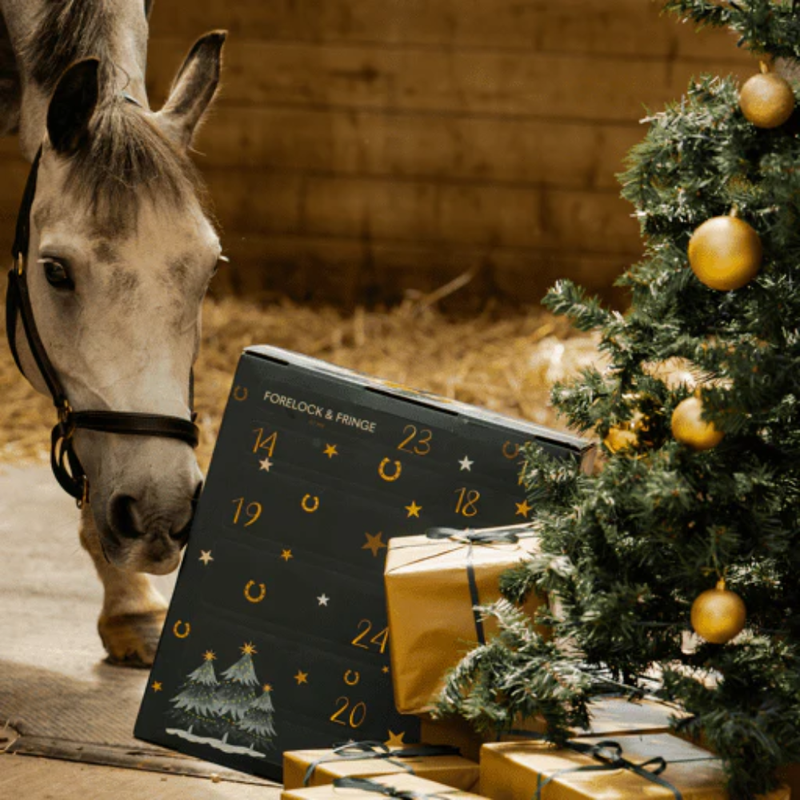 HorseHaven™ – 2025 Advent Calendar for Equestrian Joy & Holiday Magic!